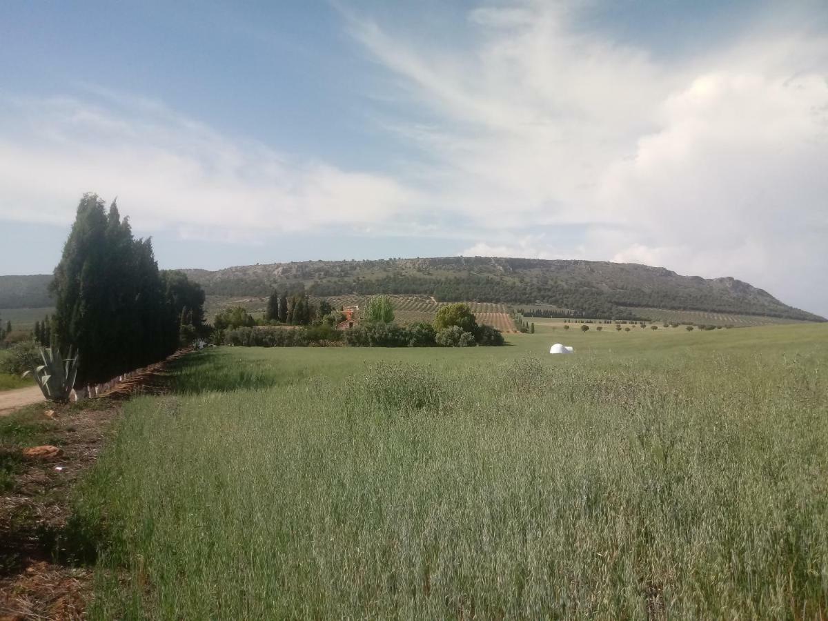 Cortijo Ferradores Humilladero Eksteriør bilde