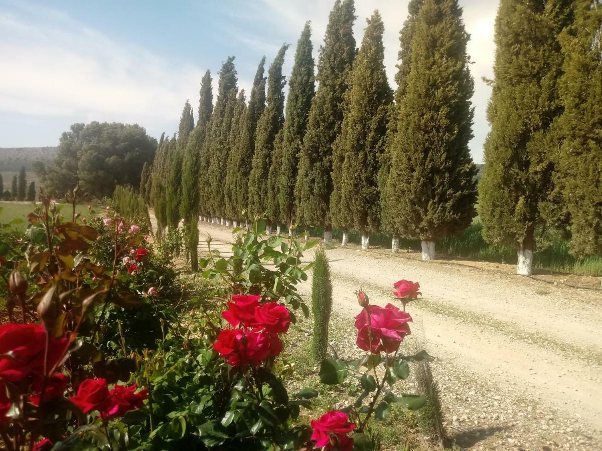 Cortijo Ferradores Humilladero Eksteriør bilde