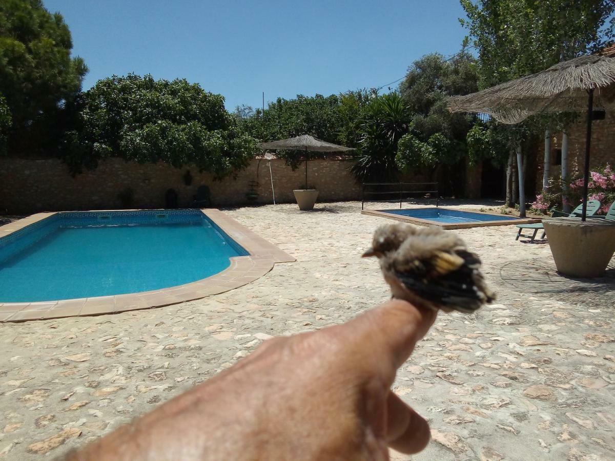 Cortijo Ferradores Humilladero Eksteriør bilde